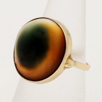 Ring - 14 karaat Geel goud - Operculum schelp, Nieuw