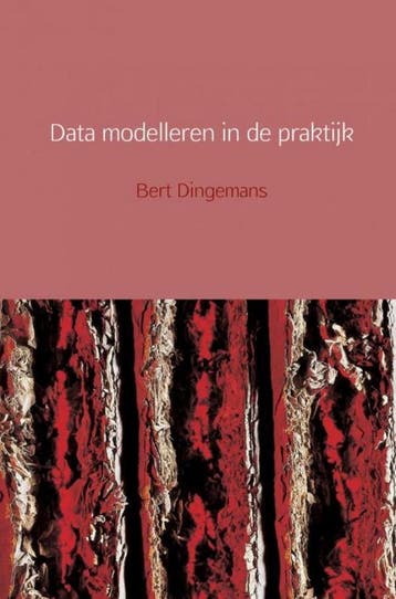 Data modelleren in de praktijk - Bert Dingemans, Verzenden, Zo goed als nieuw, Bert Dingemans