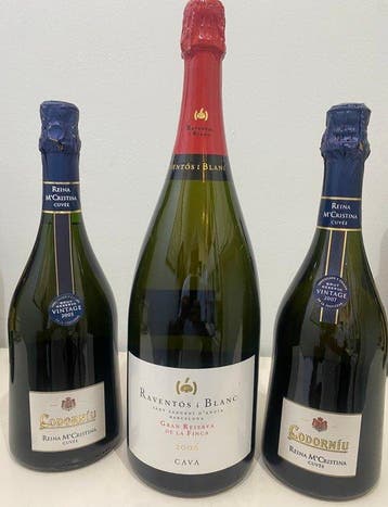 2006, Raventós i Blanc, De La Finca, 2005, 2007 Reina Mª, Nieuw