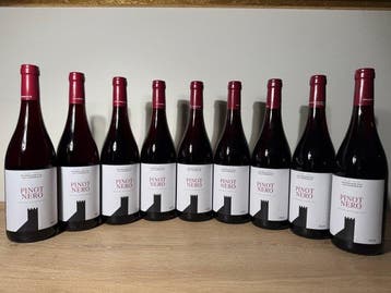 2024 Kellerei Schreckbichl Colterenzio, Pinot Nero -, Nieuw