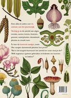 Het plantenboek 9789401437882 Kathy Willis, Boeken, Kinderboeken | Jeugd | 10 tot 12 jaar, Verzenden, Zo goed als nieuw, Kathy Willis