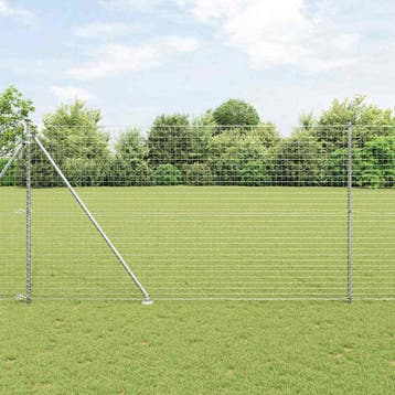 vidaXL Euro-hek met grondpennen 10 x 1,6 m Gegalvaniseerd, Tuin en Terras, Verzenden, Nieuw, IJzer