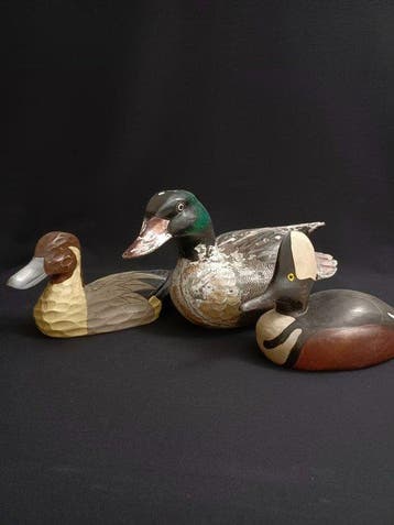Lokeend - Hout