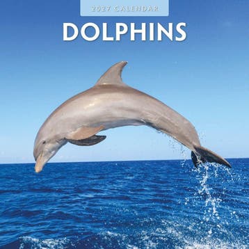 Red Robin Wall Kalender 2027 - Dolphins, Ophalen of Verzenden, Nieuw in verpakking