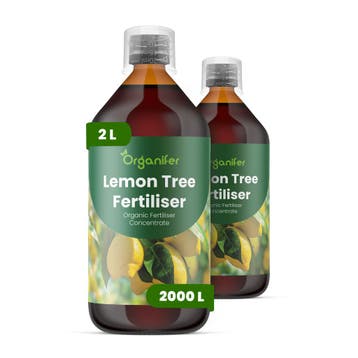 Citroenboom Vloeibare meststof - Set 2x1 liter, Verzenden, Mest