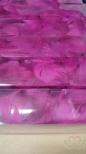 Veren Echte veertjes Fuchsia 10 gram, Ophalen of Verzenden, Nieuw
