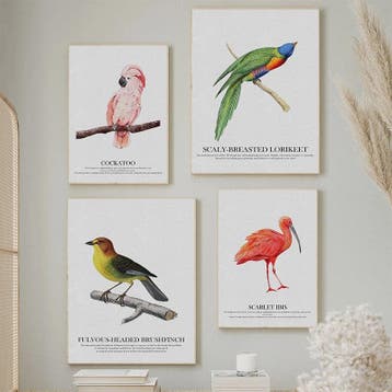 Kleurrijke Vogel Canvas Schilderijen: Kolibrie & Blauwe Ara