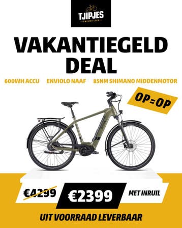 Aanbieding | BESV E-bikes Direct Leverbaar, Fietsen en Brommers, Elektrische fietsen, Overige merken, Nieuw, Ophalen of Verzenden