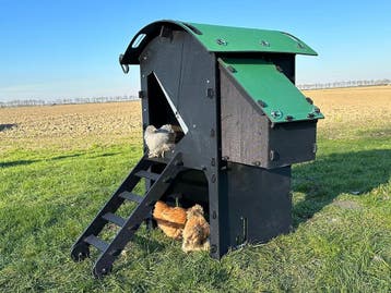 Kunststof Kippenhok - Nestera Small Verhoogd - Bezorgen, Ophalen of Verzenden, Nieuw