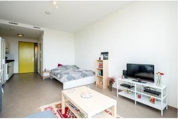 Te Huur Studio Wagendwarsstraat In Utrecht, Huizen en Kamers, 20 tot 35 m², Utrecht