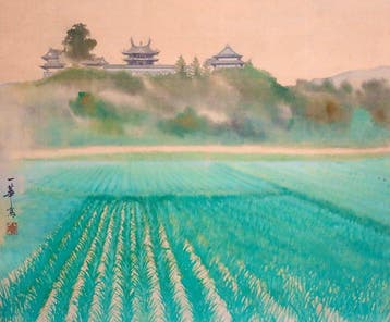 Schoonheid van een kasteel en rijstvelden – Nara’s
