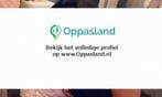 Ik ben Rosita, 56 jaar oud en ik zoek oppaswerk in Purmer...