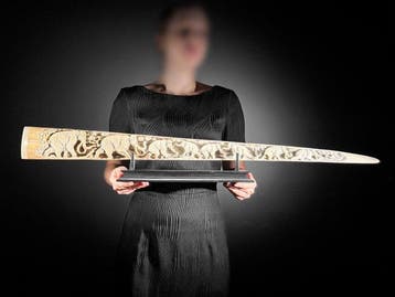 Geen reserveprijs - Grote uitgehouwen zwaardvis-slagtand op
