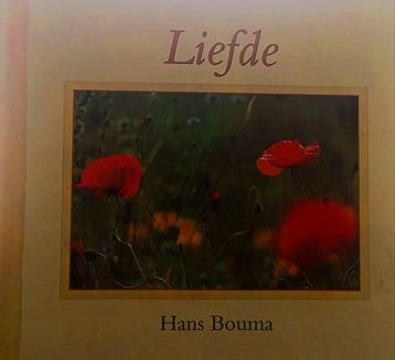 LIEFDE - BOUMA 9789043502177, Verzenden, Gelezen, BOUMA