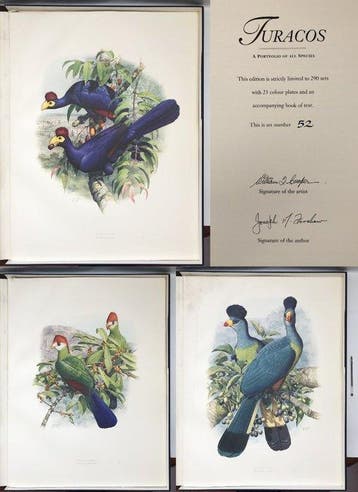 Joseph M. Forshaw, David Attenborough - Turacos: A Portfolio