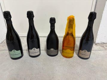 Ca del Bosco, Annamaria Clementi 2016, Saten 2020, Extra, Verzamelen, Nieuw