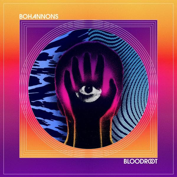 cd - Bohannons - Bloodroot, Cd's en Dvd's, Cd's | Overige Cd's, Zo goed als nieuw, Verzenden