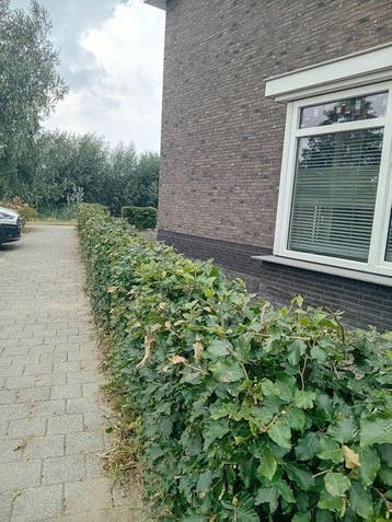 Te huur: Appartement Brederode in Andel, Noord-Brabant, Andel, Appartement