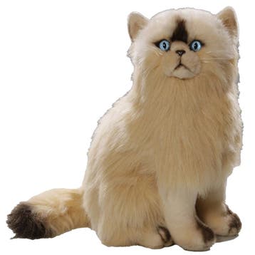 Carldick Perzische kat knuffel - pluche - 35 cm, Verzenden, Nieuw