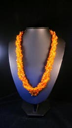 Gepolijst - Barnsteen - Long Baltic Amber necklace - clear