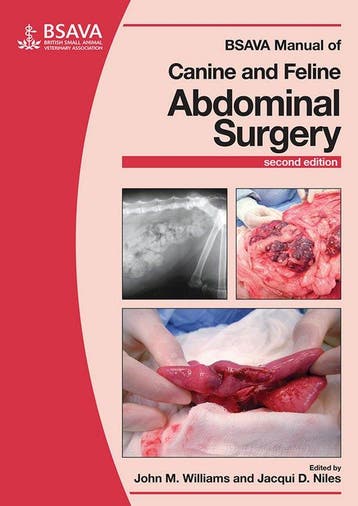 9781905319626 Bsava Mnual Canine Abdominal Surgery 2 E, Boeken, Verzenden, Nieuw, John M Williams