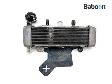 Radiateur Honda CB 125 R 2018-2020 (CB125R JC79), Motoren, Verzenden, Gebruikt
