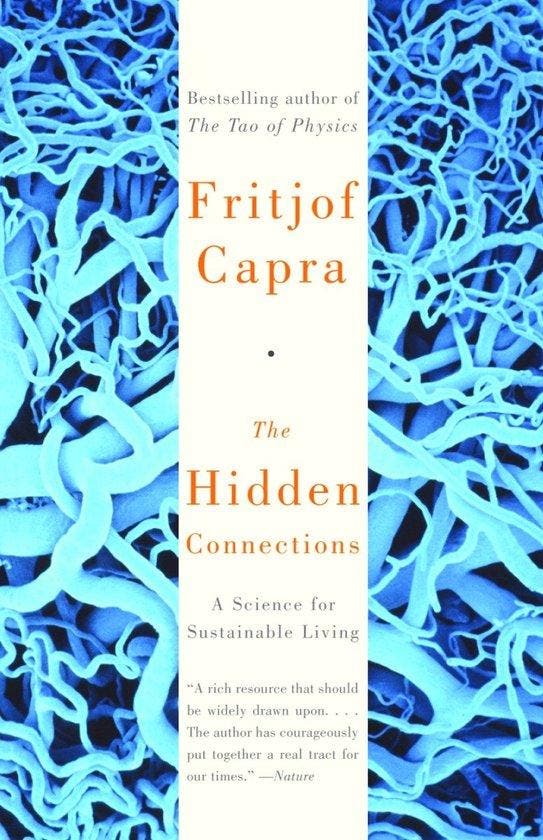 The Hidden Connections - The Hidden Connections, Boeken, Overige Boeken, Ophalen of Verzenden