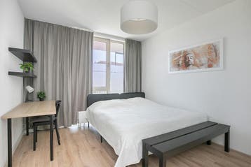 Eigen Kamer aan Buizerdhof, Capelle aan den IJssel, 50 m² of meer