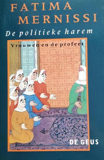 De politieke harem - F. Mernissi 9789052260600, Boeken, Verzenden, Gelezen, F. Mernissi