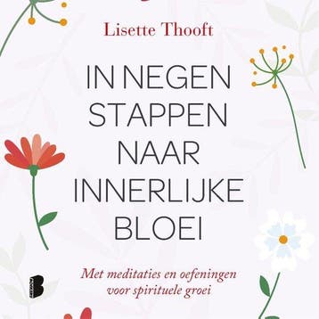 9789022580240 In negen stappen naar innerlijke bloei, Verzenden, Zo goed als nieuw, Lisette Thooft