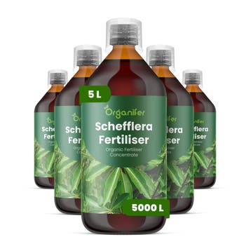 Schefflera Vloeibare meststof - Set 5x1 liter, Verzenden, Mest
