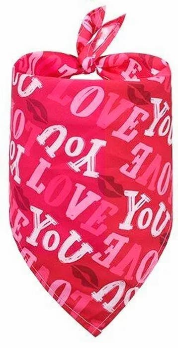 11-delige set Will you Marry me met slinger en ballonnen, Verzenden, Nieuw, Versiering, Valentijn of Romantisch