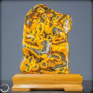 Zeer zeldzaam natuurlijke Bumblebee Jasper Freeform op