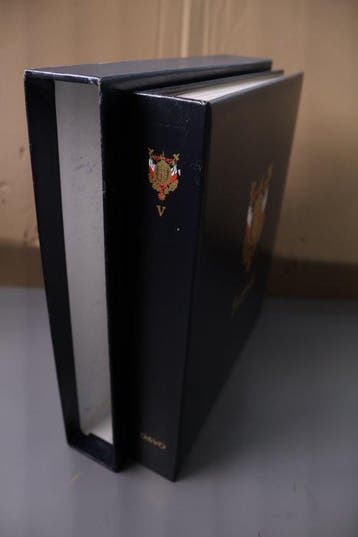 Frankrijk 1994/1999 - 1 leeg DAVO luxe voordrukalbum +, Gestempeld