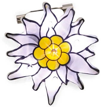 Tiroler broche met een edelweiss bloem - Sieraden, Verzenden, Nieuw