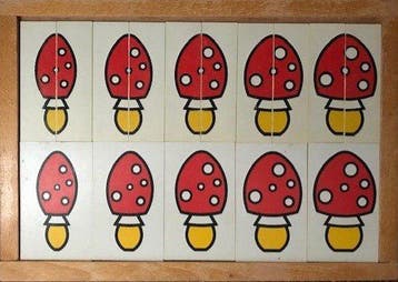 Van dun naar dik (paddenstoelen), Boeken, Verzenden, Nieuw