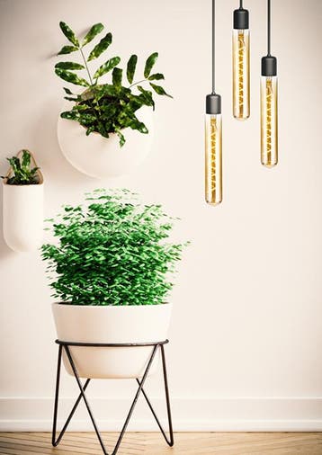 SPL LED buislamp E27 5W 360lm 2200K Goud | Dimbaar | Leng..., Ophalen of Verzenden, Nieuw