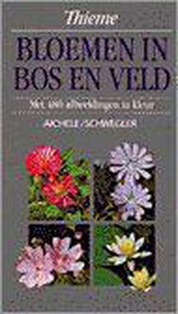 BLOEMEN IN BOS EN VELD / Bloemen en planten 9789052100838, Verzenden, Gelezen, AICHELE / SCHWEGLER