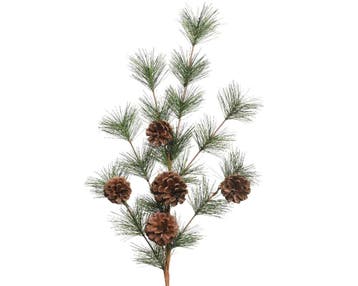 Dennengroen kerstgroen met dennenappels 50 cm per tak, Ophalen of Verzenden, Nieuw