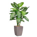 Dieffenbachia kunstplant, H140cm, Ophalen of Verzenden, Overige soorten, 100 tot 150 cm