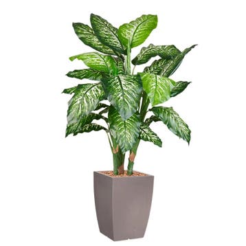 Dieffenbachia kunstplant, H140cm, Ophalen of Verzenden, Overige soorten, 100 tot 150 cm