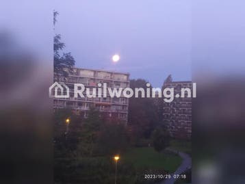 Rotterdam: Ruime Flat met 4 Kamers