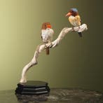 Zebra-IJsvogel Koppel Taxidermie Opgezette Dieren By Max, Ophalen of Verzenden, Nieuw, Vogel, Opgezet dier