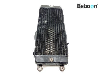 Radiateur Honda VT 800 Shadow (VT800), Verzenden, Gebruikt