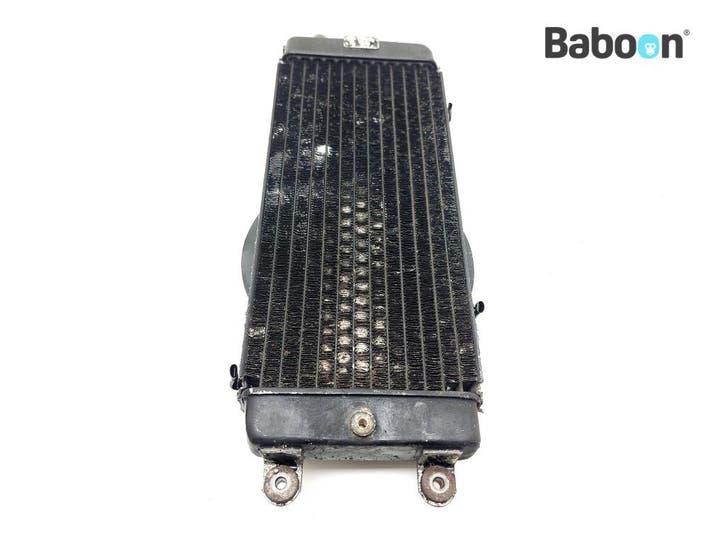 Radiateur Honda VT 800 Shadow (VT800), Motoren, Onderdelen | Honda, Gebruikt, Verzenden