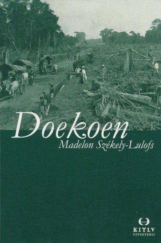 Doekoen, Boeken, Literatuur, Ophalen of Verzenden