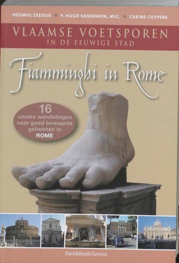 Fiamminghi in Rome - H. Zeedijk 9789058264664, Verzenden, Gelezen, H. Zeedijk