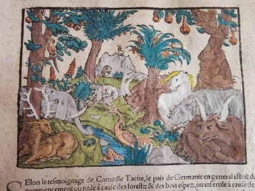 Sebastian Münster (1489–1552) - Cosmographie Universelle -