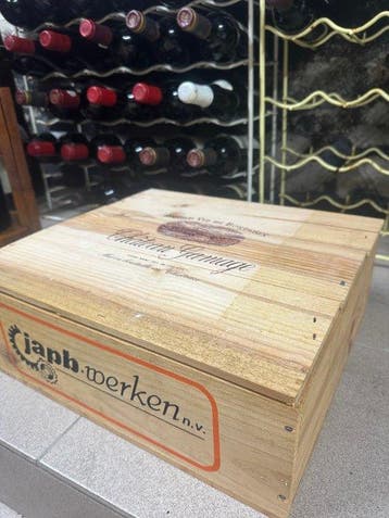 1989 Château Gamage - Bordeaux - 3 Magnums (1.5L), Nieuw