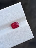 Zonder minimumprijs - 1 pcs Rood, Roze Robijn - 1.03 ct -, Nieuw